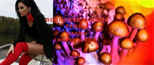 круглые Алексеевка