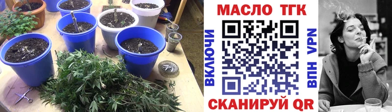 сколько стоит  сайты даркнета как зайти  ТГК Wax  Шацк 